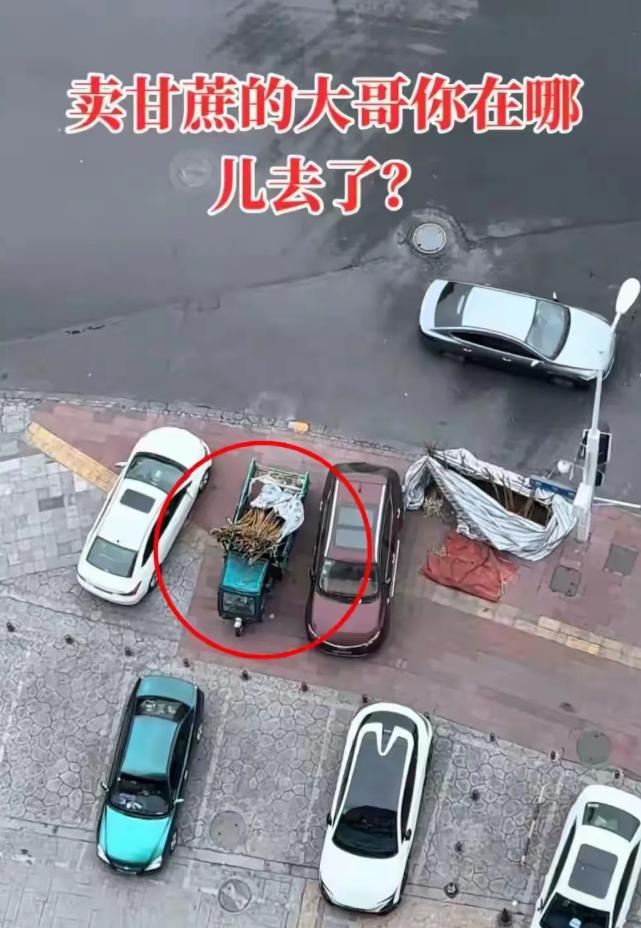 四川，一男子发现，楼下常年摆摊卖甘蔗的大哥从过年之后就没出摊了，路边三轮车上的甘