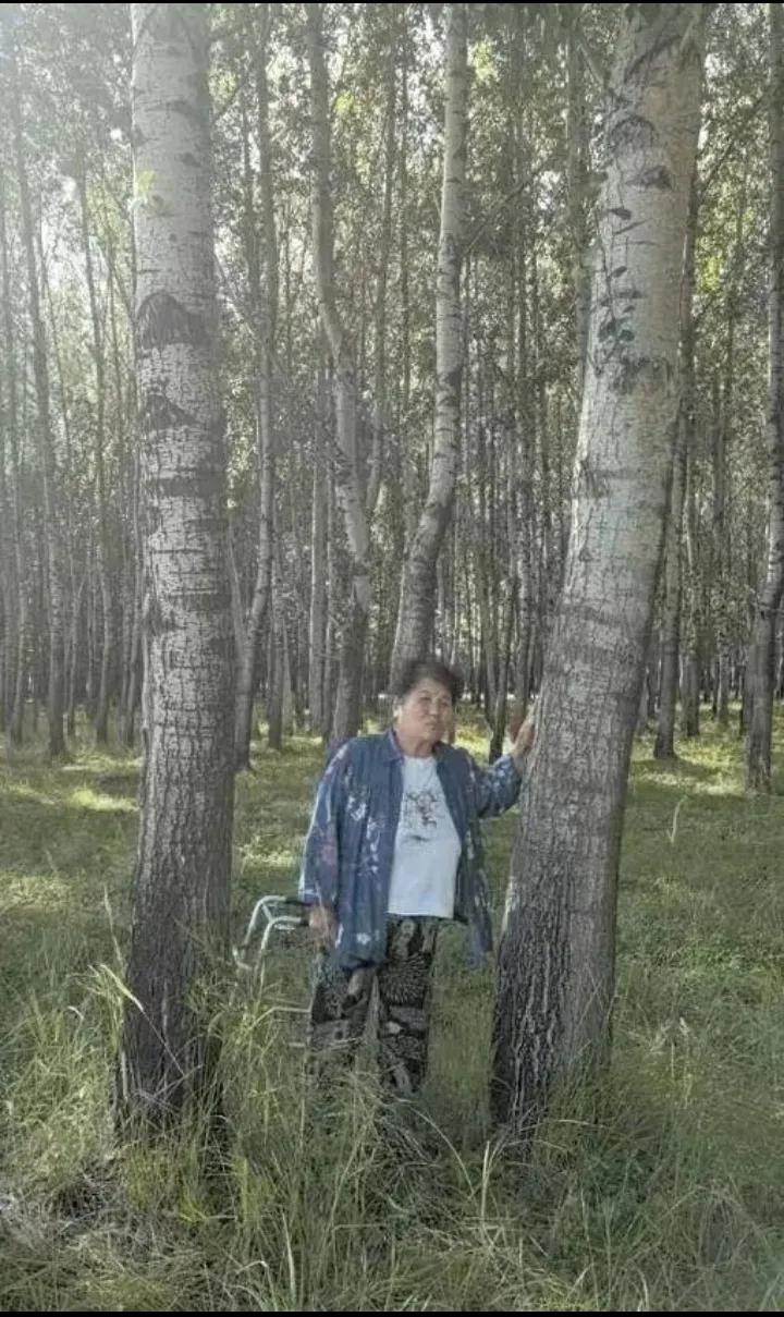 刷到黑龙江齐齐哈尔市村民守护了23年的数万棵杨树林，突然变成了“自然保护区”，不