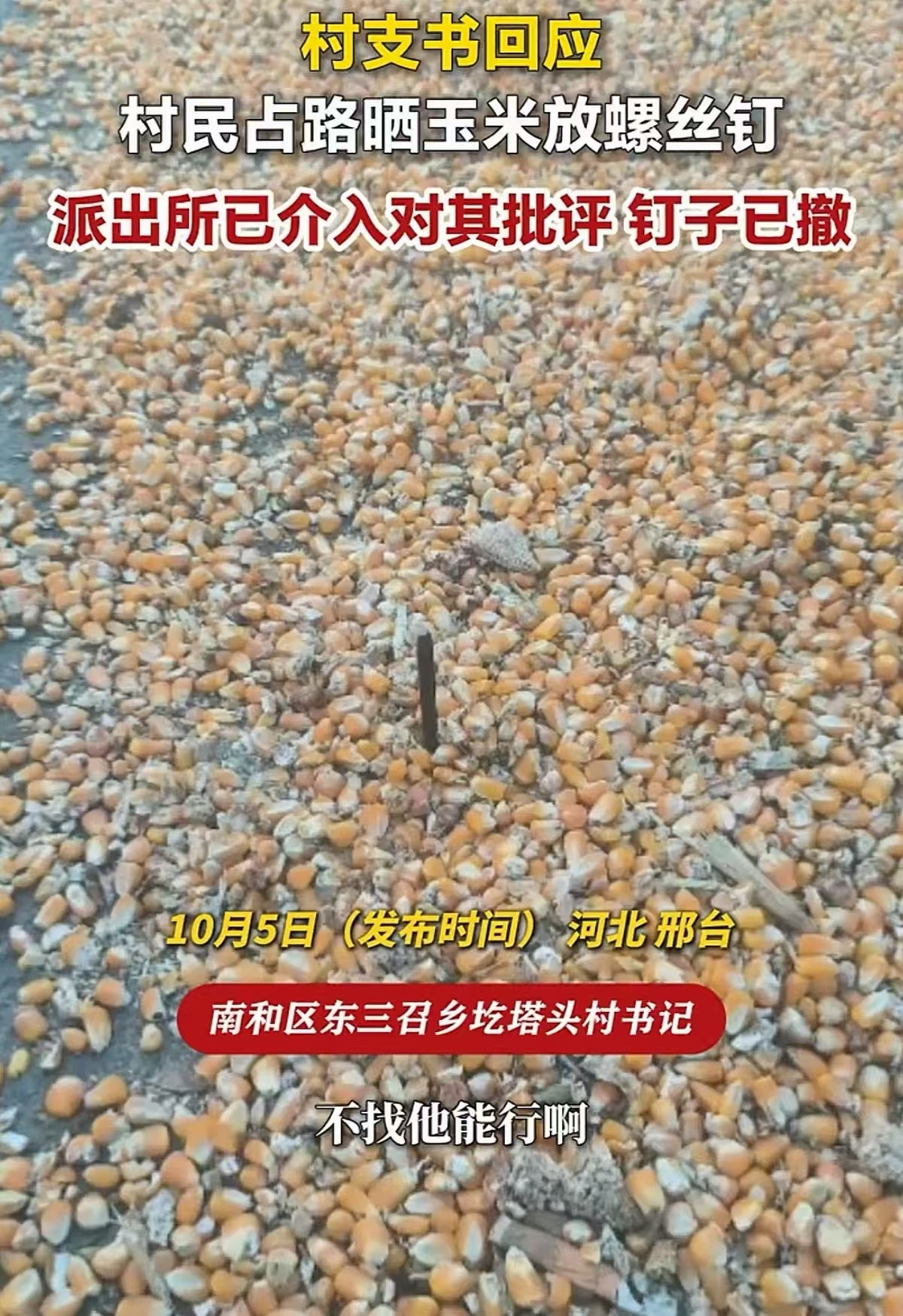 坏的无法形容！河北邢台，秋收时节，一村民在公路上晒玉米，他怕来往行人车辆碾压、踩
