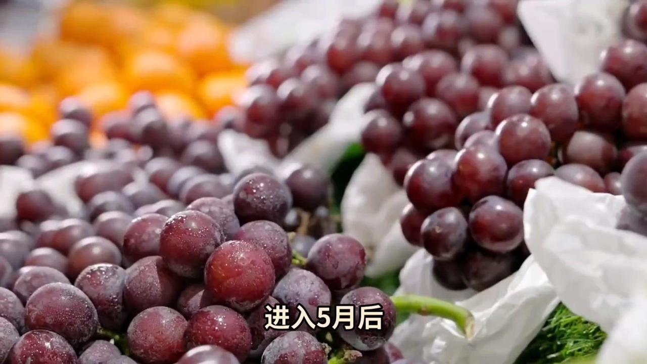 进入5月，西瓜、甜瓜、樱桃等水果陆续退场，鲜食葡萄大量涌入市场。今年5月国内葡萄