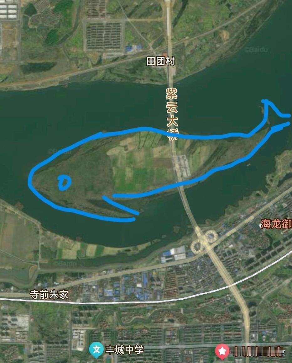 丰城有鱼，其名为鲲，小名叫中洲。丰城作为江西县域第一市，正在为这条鲲托举起飞。