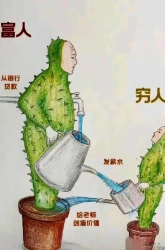 这就是现实，不太明白？？？