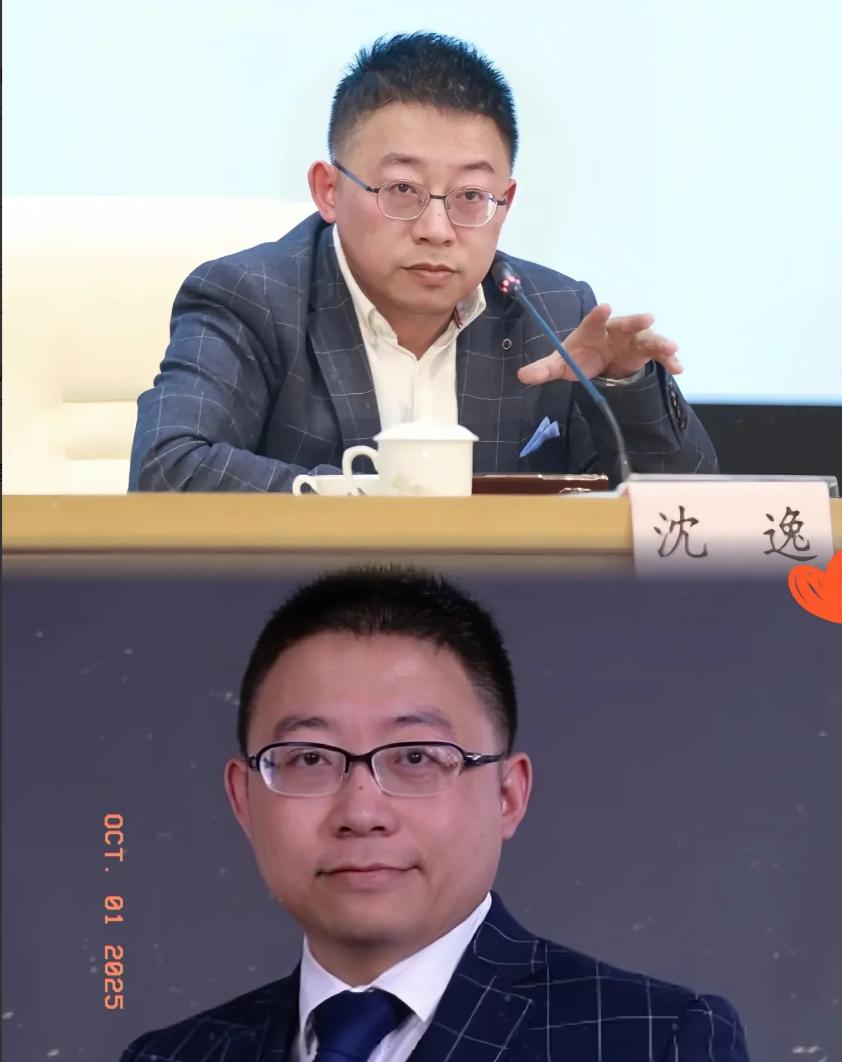 这下出名了！沈逸教授的发言，比那些每天讲爱国的博主要靠谱的多。沈逸教授认为，