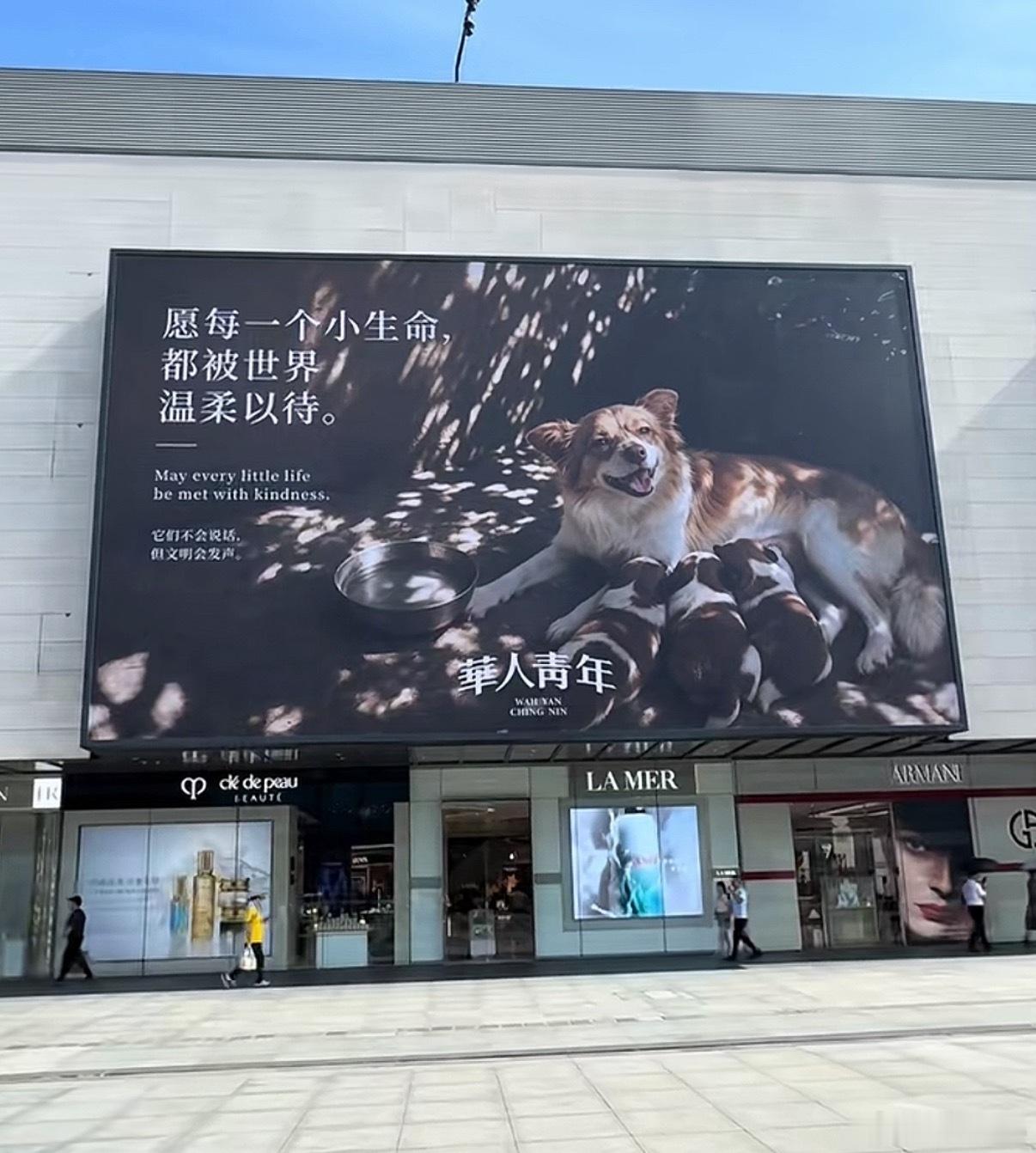 看完揭阳四个少年对流浪狗妈妈和小狗的残害简直让人发指那个视频看的人撕心裂肺知道是