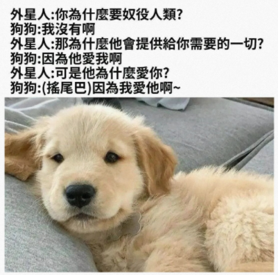 就是喜欢玩闹