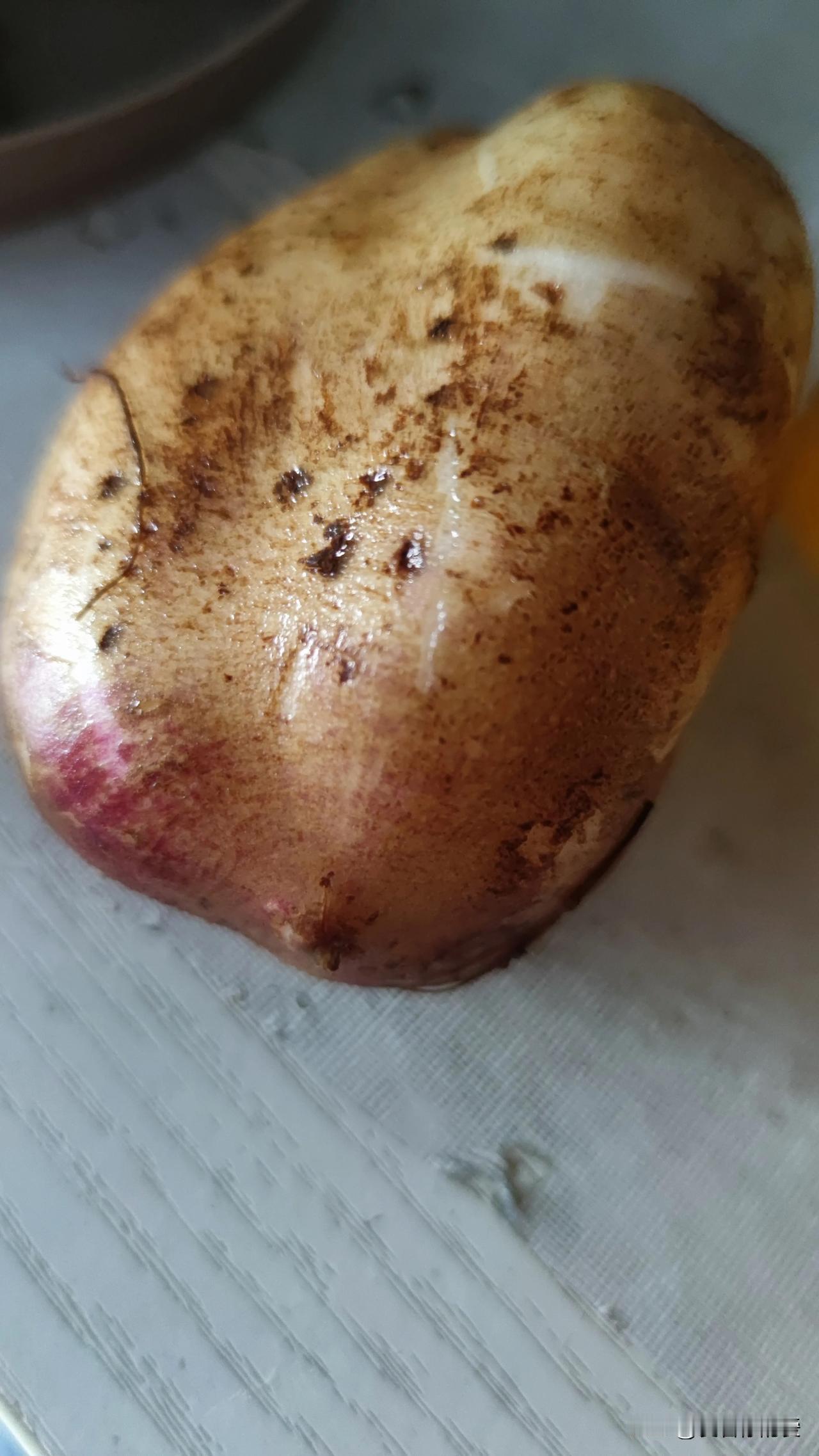 雪莲果这东西着实神奇。它原产自南美洲，在我国云南、山东等地均有种植。这果子吃起