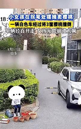 这是故意的吧！“”5月17，山东一小女孩路边摆摊卖樱桃，不料小车撞翻三筐樱桃后扬