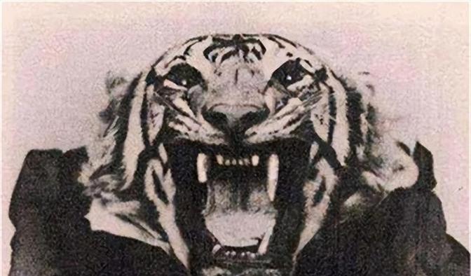 1907年的印度村庄，村民们不敢在白天出门砍柴，家家户户门窗紧闭。一头来自