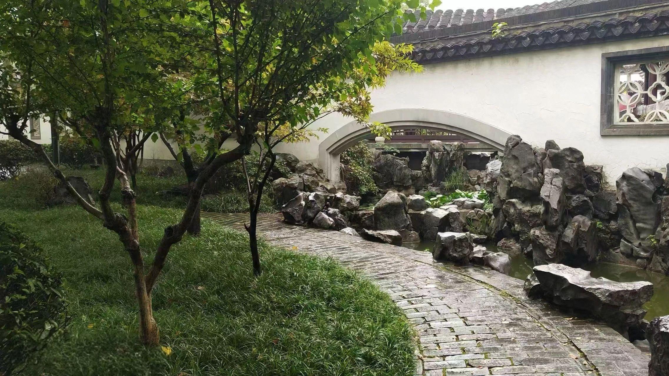 53岁的婆婆怀孕,我们劝阻无果后她早产生下二胎,我转头就走
