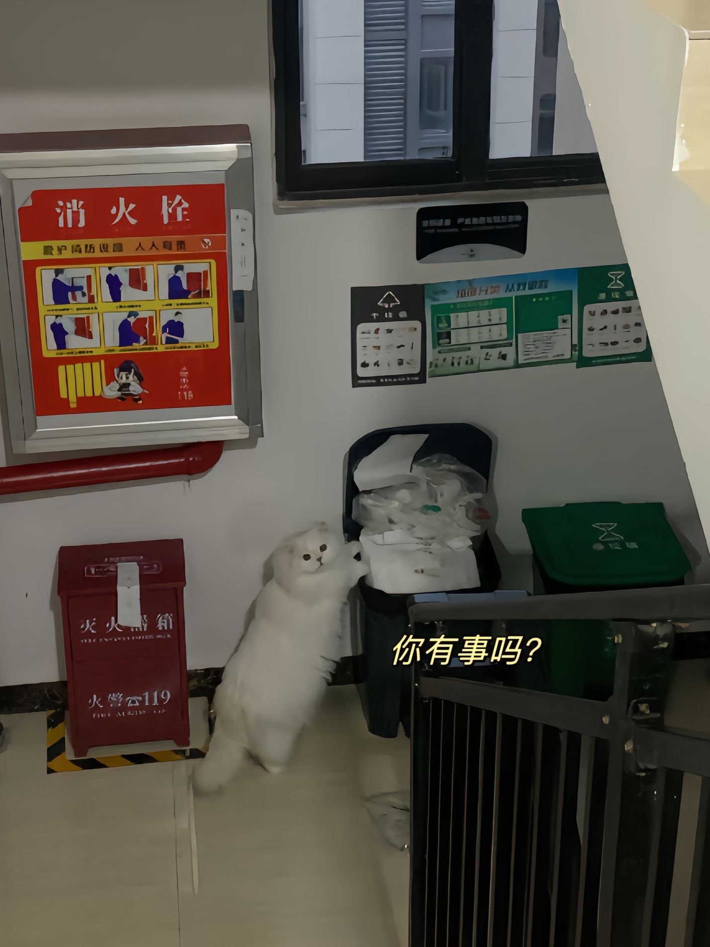 这是哪家的公主在捡瓶子啊