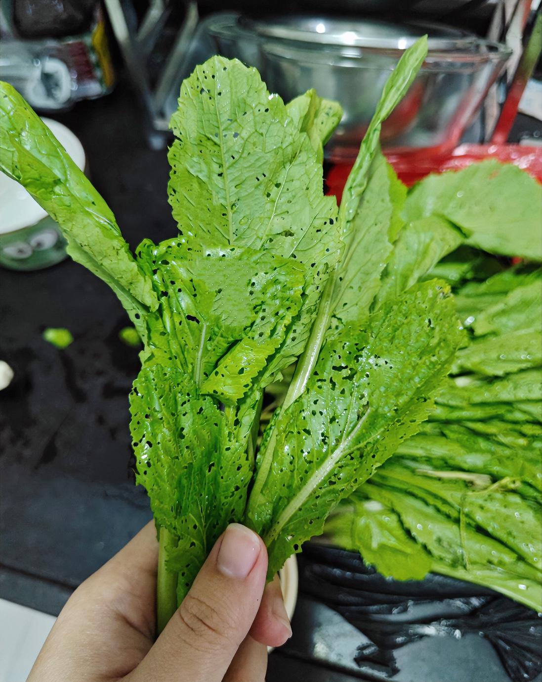 早上去路边摊跟一个老奶奶买的菜，回来打算洗，发现事这样的，这种菜能吃吗