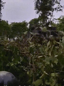 这段视频清楚地证明了VT4坦克对于泰国军队的重要性。动力极其强劲，没有路就可以