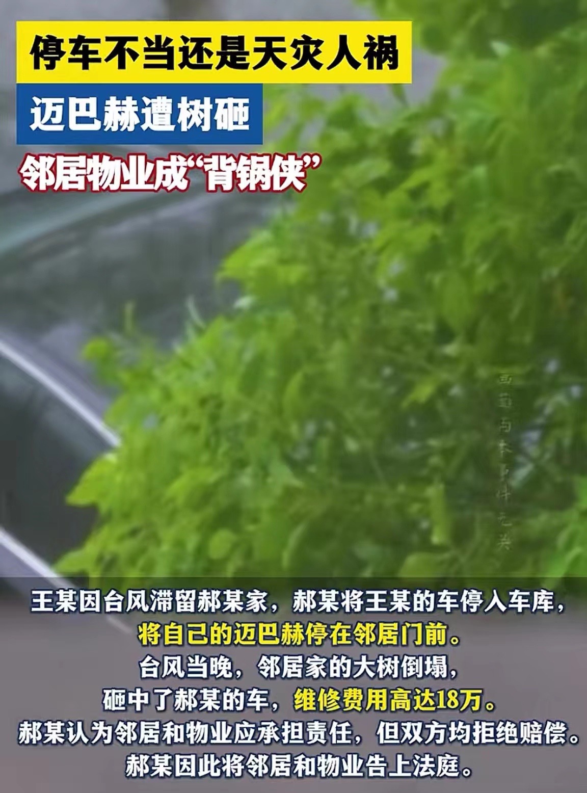 广东佛山，一名男子将迈巴赫停在没在家邻居的别墅门口，没想到，台风将树刮倒，男子的