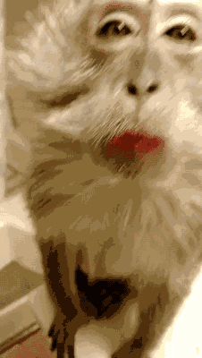 猴哥要美上天了呢!