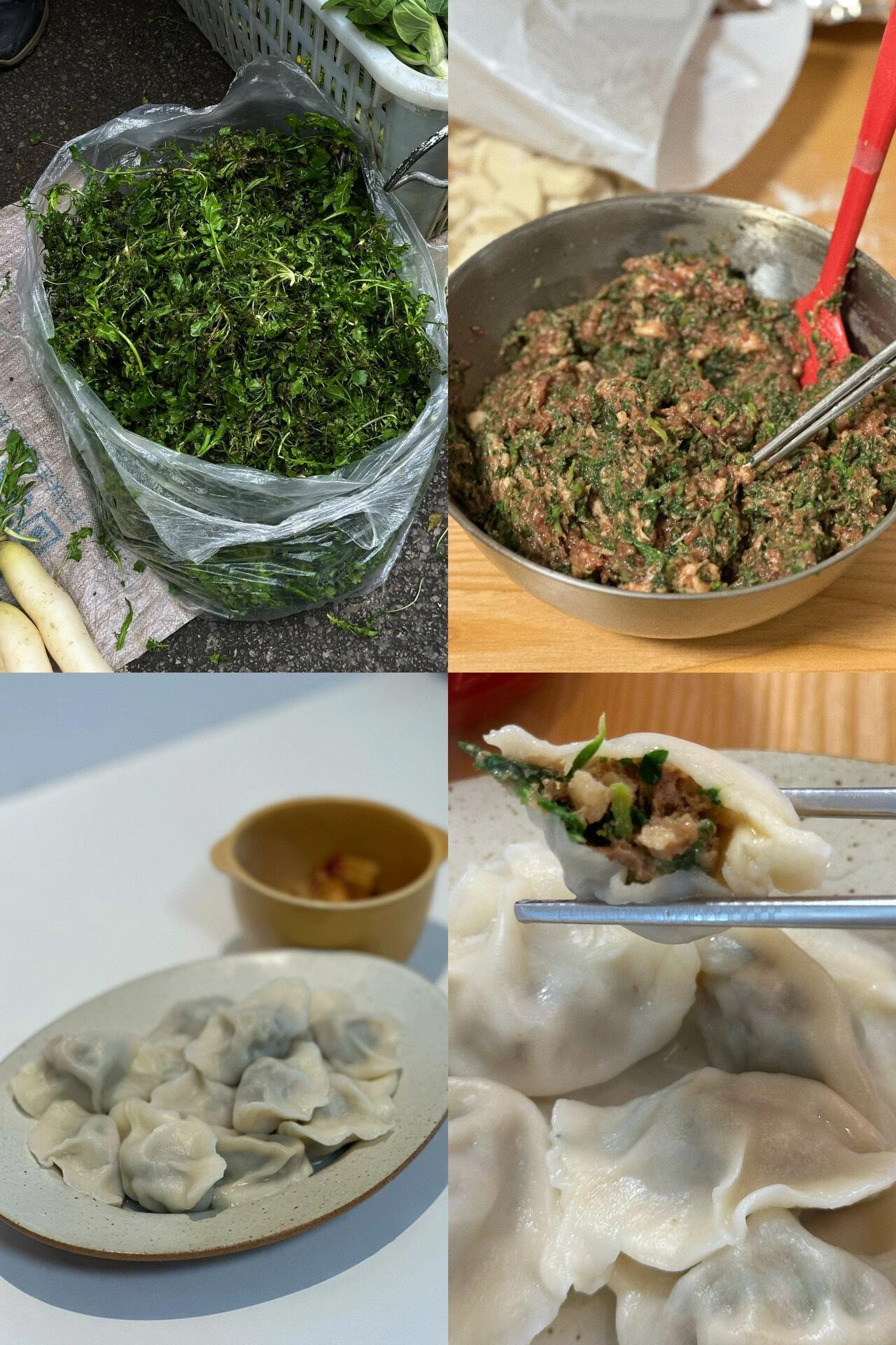 让包子饺子都能一口爆汤汁的秘诀｜荠菜春天的第一口鲜