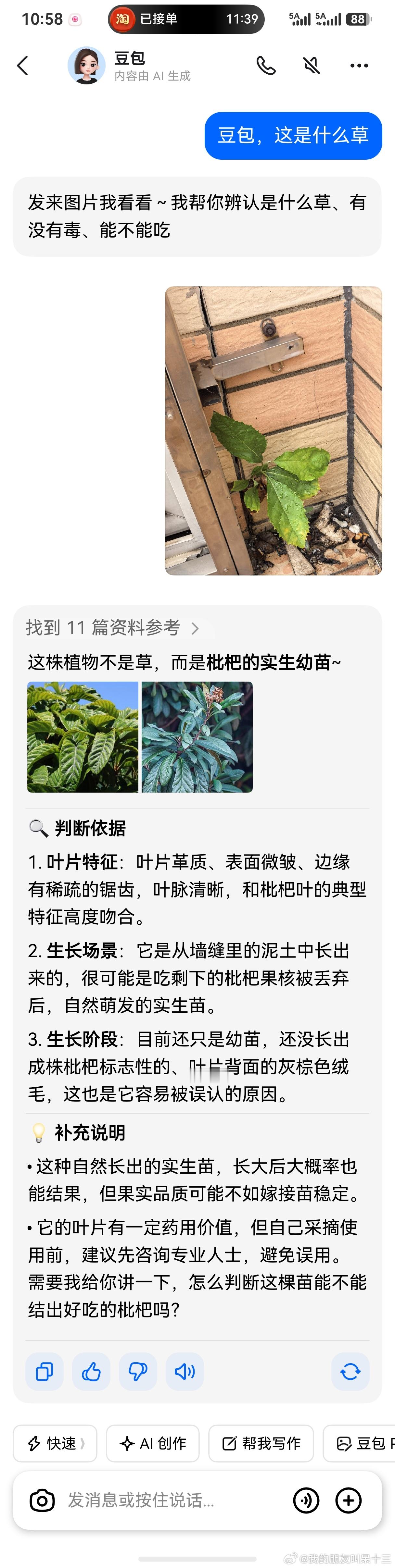 大家帮忙看看豆包说的对不对？！？我感觉不像呢