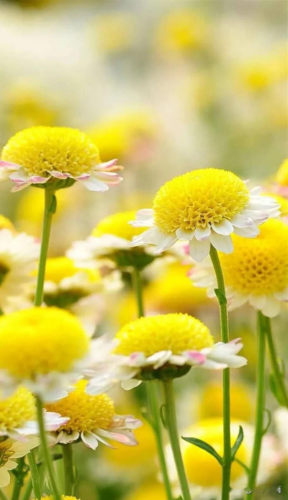 武志红一句话道破喜欢的本质：“喜欢一个人最大的意义，不是非要在一起走到最后