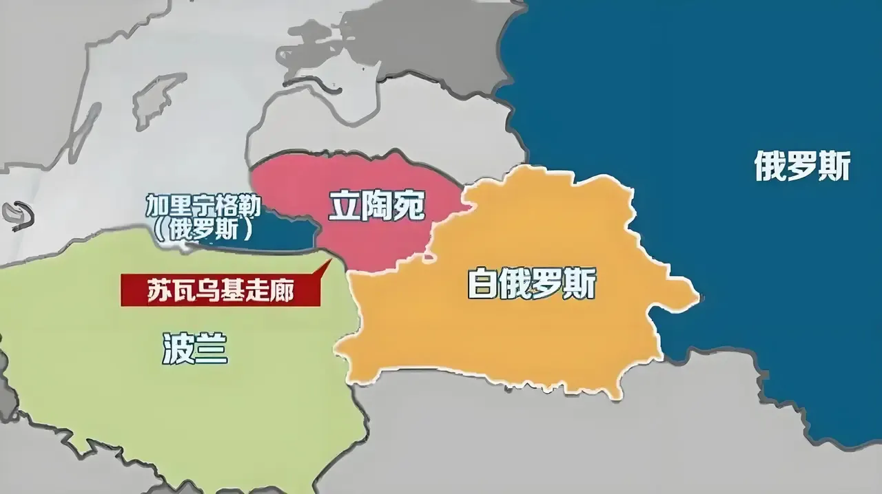 立陶宛这个弹丸小国害怕了，立陶宛总统瑙塞达现在有些急不可耐了据英国《金融时报》