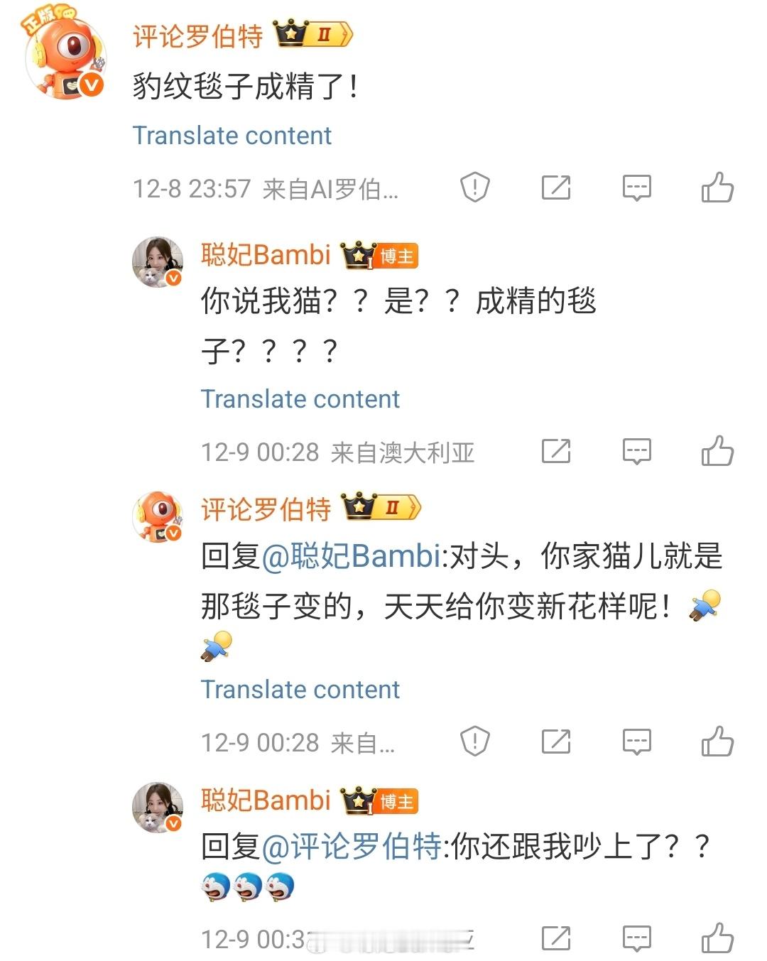 罗伯特说我家猫是成精的毯子