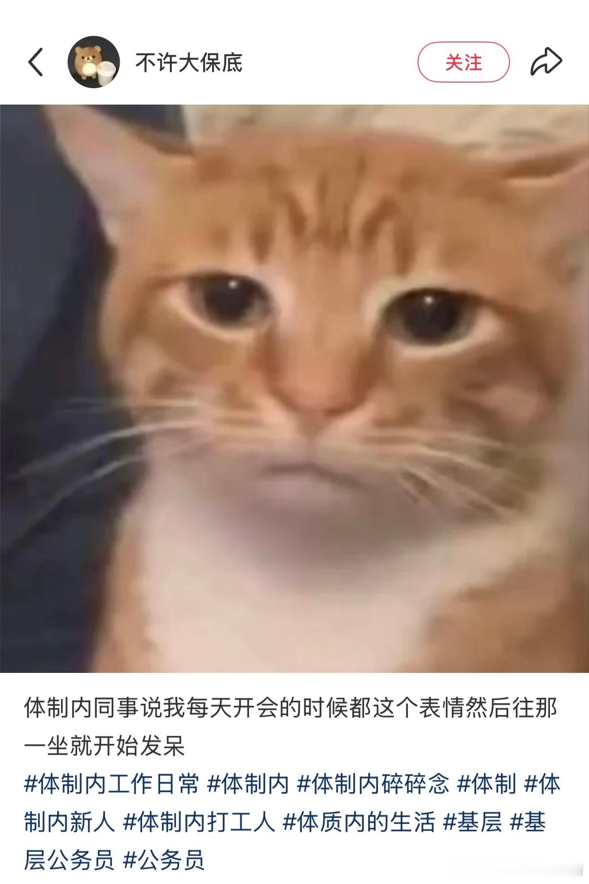 疑似我上班照片流出​​​