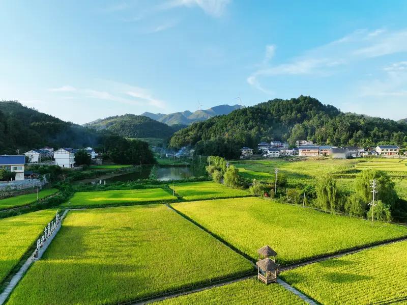 失业一年回老家，我肯定会犹豫。虽说“城市套路深，我想回农村”，但现实没那么美好。