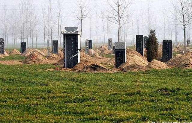 老妈因新殡葬条例上火：74岁农村老党员执念土葬，耕地建坟不行，该咋劝？根据2