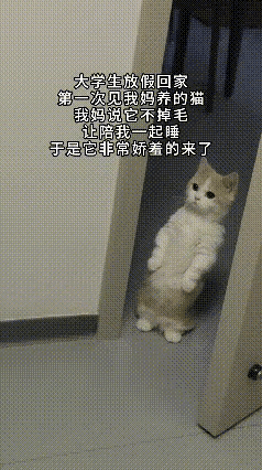 大学生放假回家，直接被家里的“娇羞猫”狠狠拿捏！头一回见妈妈养的小家伙，往门口一
