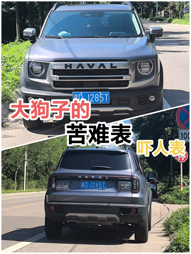 大狗的苦难表，吓人表大狗的油耗我最近详细根据里程算了一下，计算结果很让我震惊，