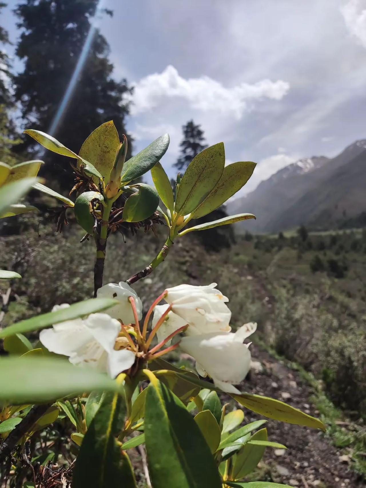 一、景点门票-陕西：陕西知名景点众多，如秦始皇兵马俑博物馆门票120元，