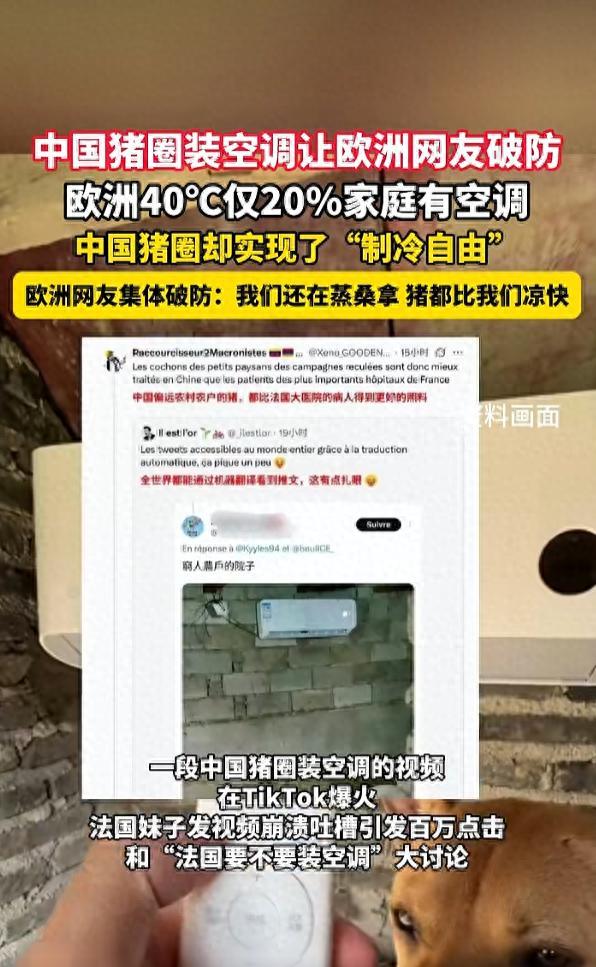 伤害性不高，侮辱性极强！欧洲多国持续遭遇极端高温，一条中国农民给猪舍安装空调的短