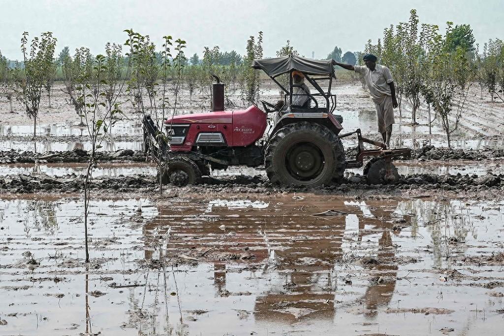 粮食这么重要，为什么全世界的农业都不挣钱？超市里买一袋面包要十几块，可种小麦