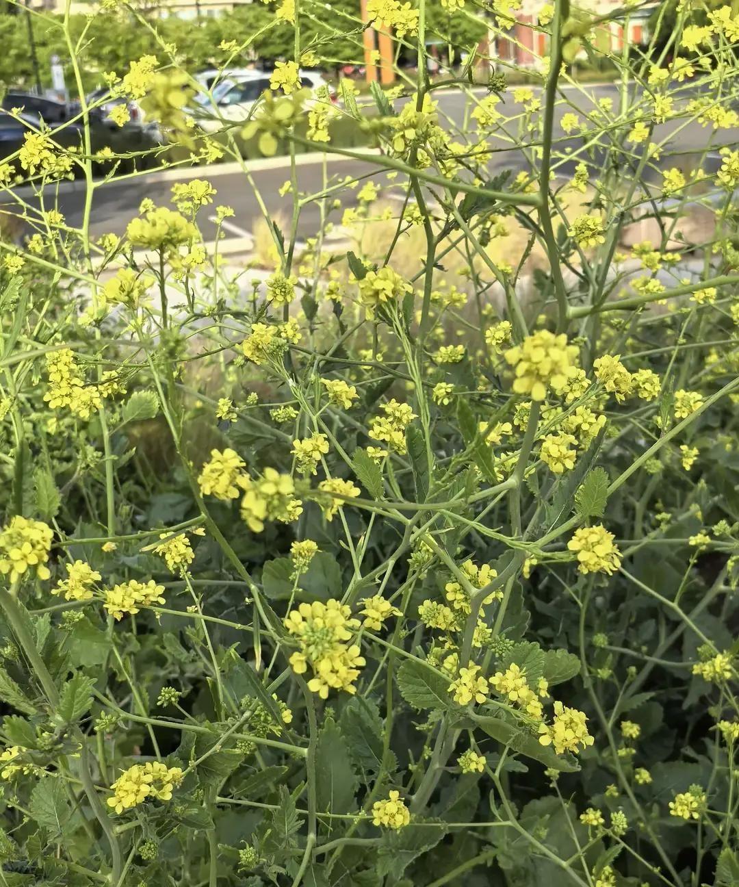 朋友儿子谈婚论嫁，女方开口就要一百万彩礼，还强调这钱归她个人，不买房不装修，就存