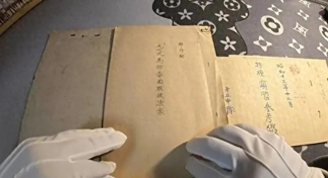 国家要出手了，"精日分子"的好日子到头了！为什么要狠狠治，因为病得太重了！ 