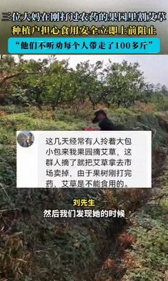 “好言劝不住该死的鬼！”3月13日江西赣州，三个大妈来到一处果园，他们没有偷果子
