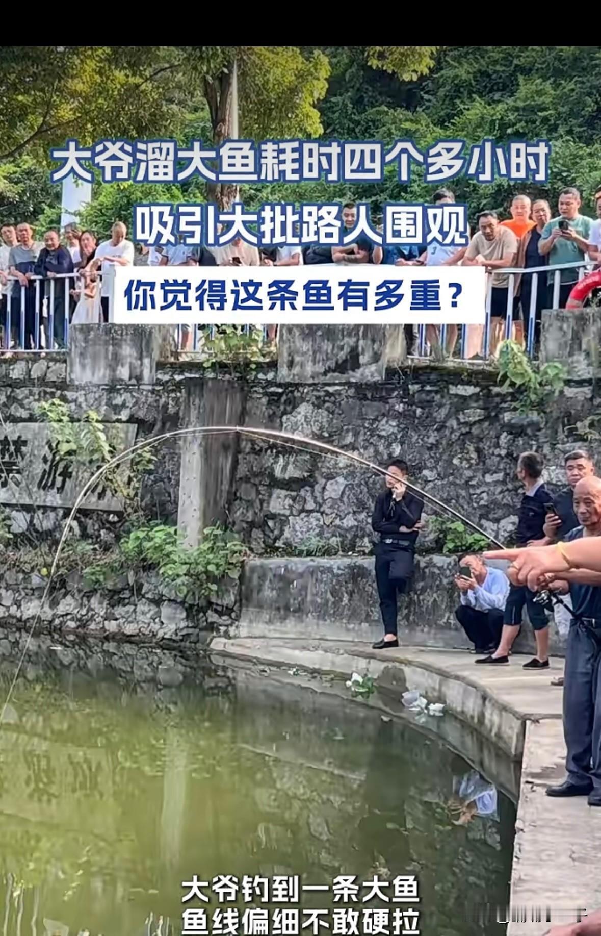 这才是钓鱼佬真正的高光时刻吧，一条鱼竟然引来了民警到现场维持秩序。贵州一大爷钓
