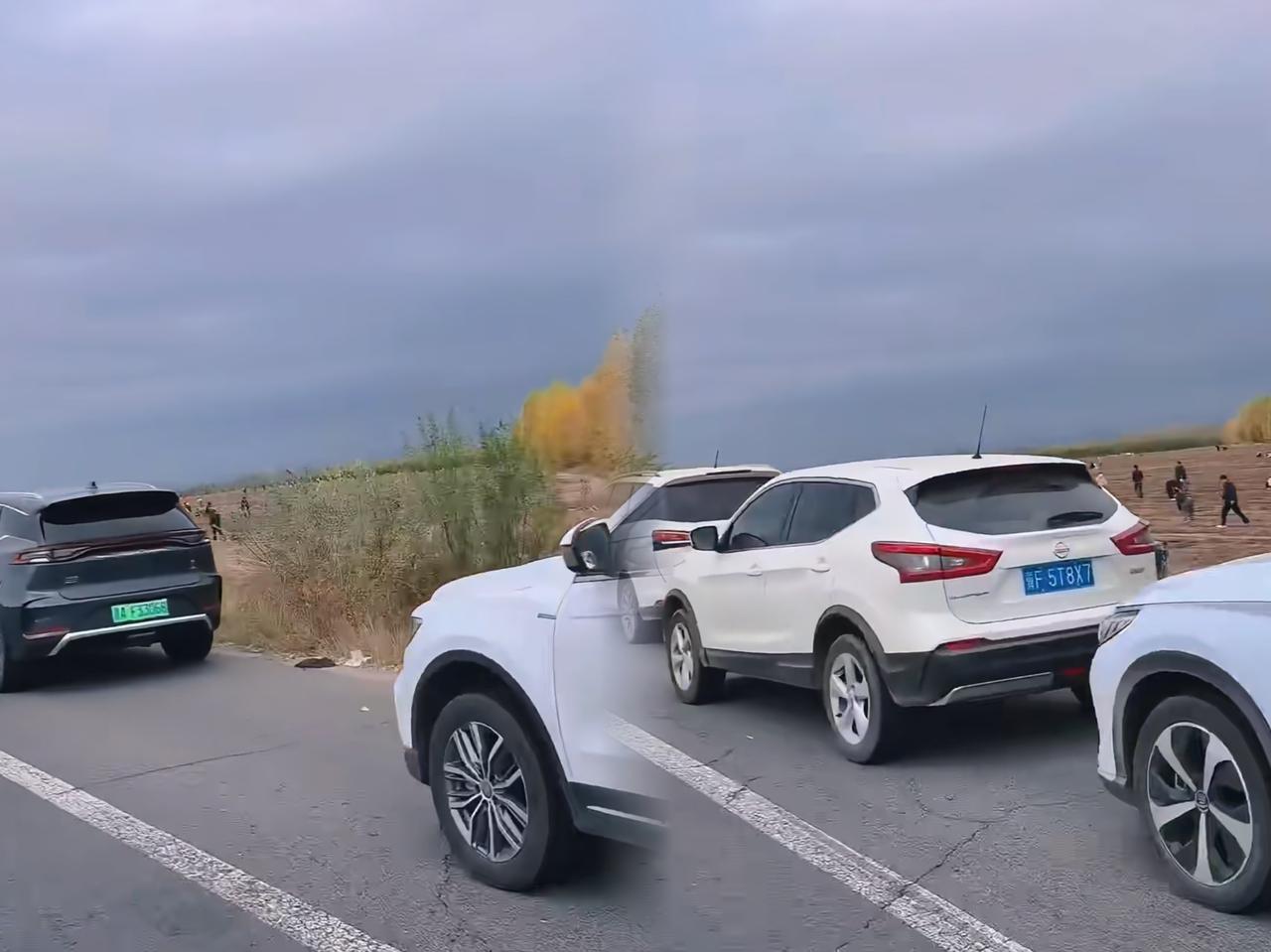 “一觉醒来，内蒙古文旅懵了！”50辆车停国道边不是堵车，而是游客们集体“下