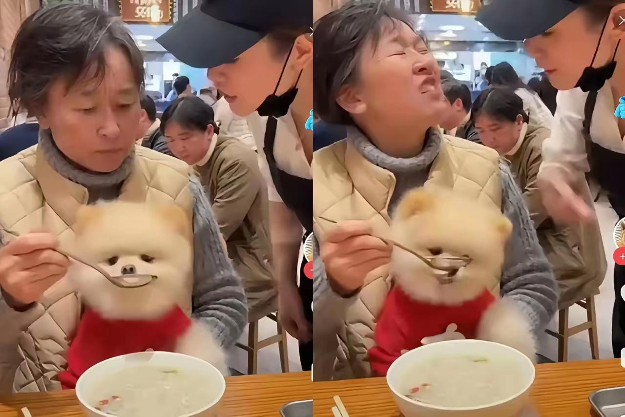 餐厅里，一位大妈用店里的碗勺喂自家宠物狗，服务员劝阻时，她理直气壮：“我花的钱，