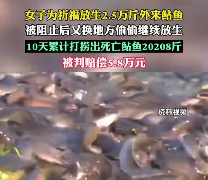 非蠢既坏！江苏常州，徐女士为了祈福，从刘某处购买了9万多元鲇鱼，在没有报备的情况