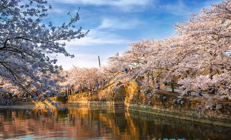 十大清明假期热门景点排行榜清明假期恰逢春和景明，既是踏青赏花、缅怀先祖的时节