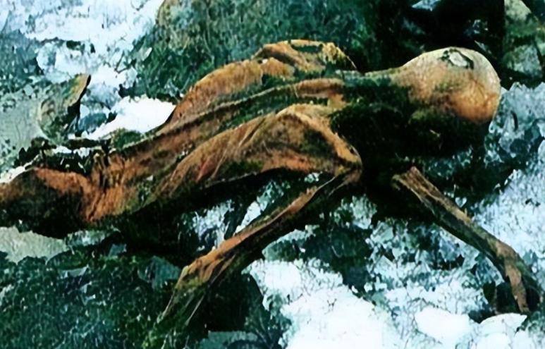 1991年9月的阿尔卑斯山，冰川反射着刺眼的光。德国夫妇西蒙正沿着奥兹山谷徒