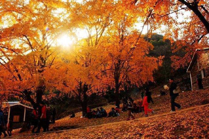 湖北·洛阳镇｜这里的秋景宛如天堂有一个地方，你一定要去，那就是静谧的洛阳镇，这里