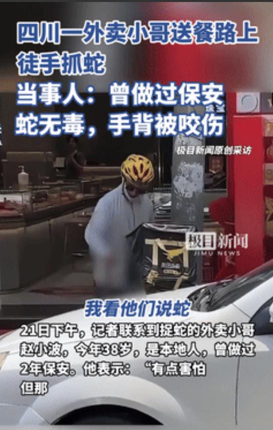 “必须嘉奖！”四川，金店闯入一条蛇，美女店员被吓得嗷嗷叫！不料，外卖小哥竟徒手上
