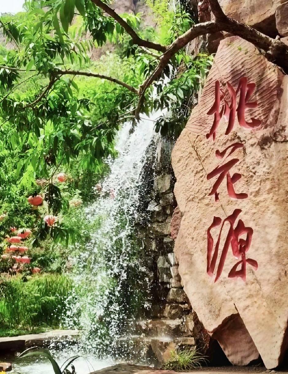五个吃饭小技巧，舒服又健康1. 吃饭别着急，一口嚼够15下再咽，胃里少