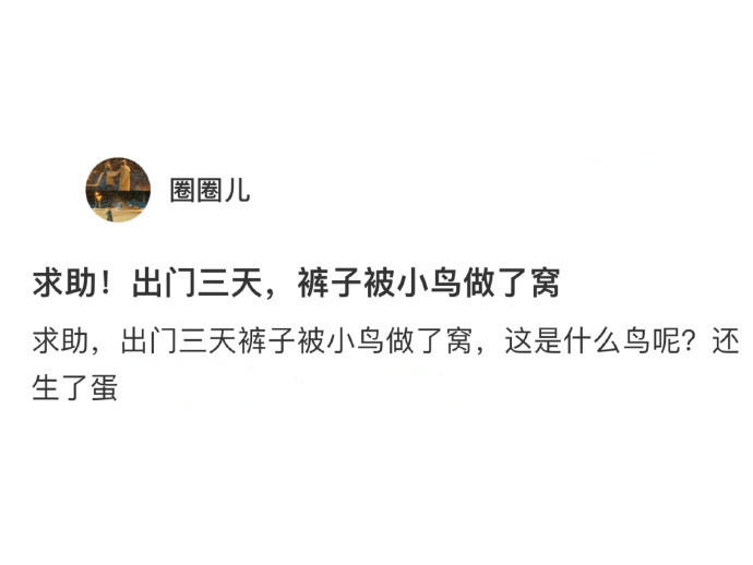 出门三天裤子被做成了鸟窝[笑着哭]​​​