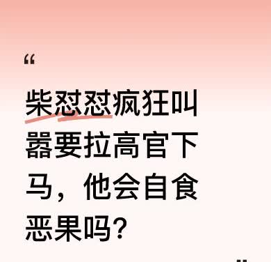 事情越闹越大，柴怼怼口气愈发狂妄，带着一堆小号怼天怼地。他先是威胁平台高管，还大