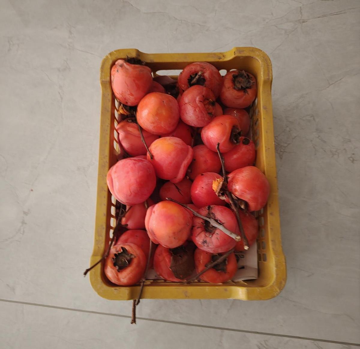 闺蜜一筐柿子寄来，皮薄得像初恋，一捏就化。不急着吃，等它软成蜜，抹在玉米窝窝头