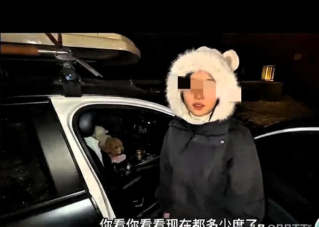 一名自驾游的男子，在无人区路途中搭救了一名落难的女子，她也是心甘情愿跟着男子，原
