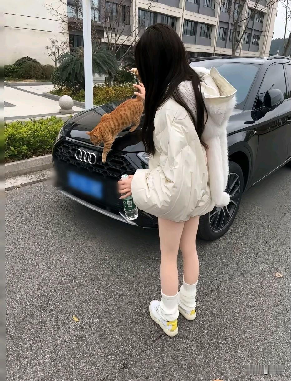 姐，奥迪是你的吗？