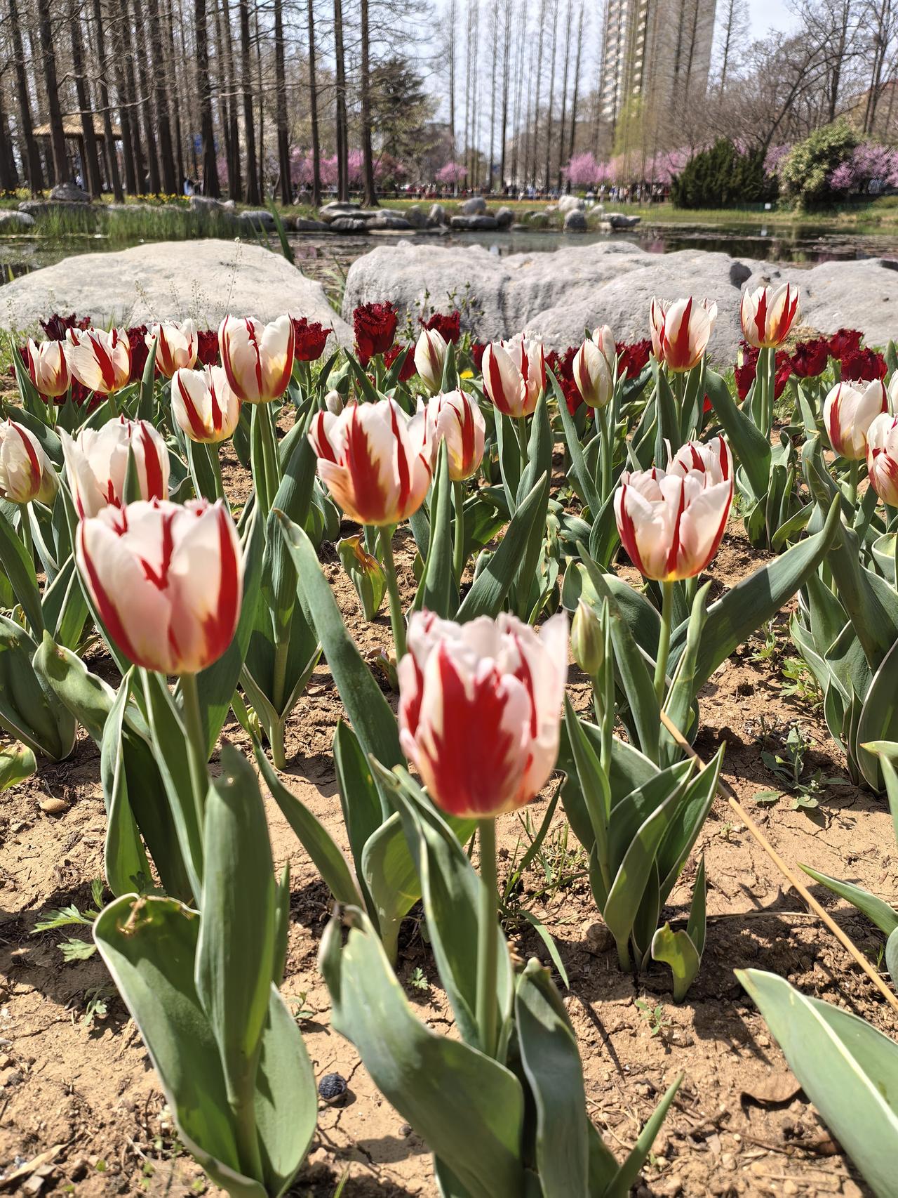 今天早上，楼上邻居来找我，说他家孩子生病一周多了，去社区卫生中心看了医生，让我帮