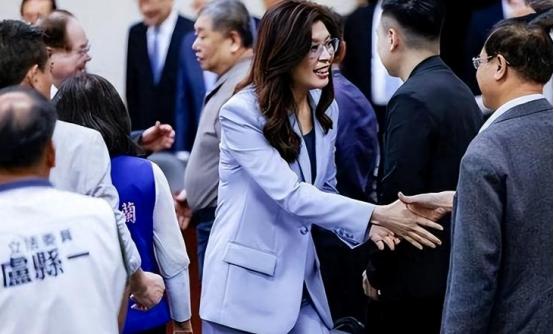 八大佬联手“逼宫”郑丽文，宁输选举也要把她拉下马！国民党这是铁了心要自毁前程吗？